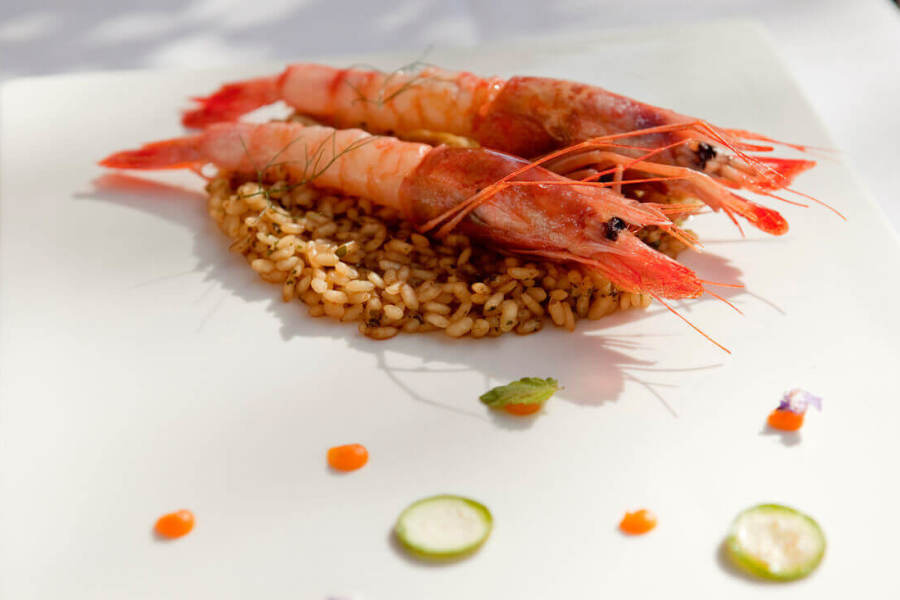 Marcel Ress und Küchenchef Adriàn Meal-008.jpg